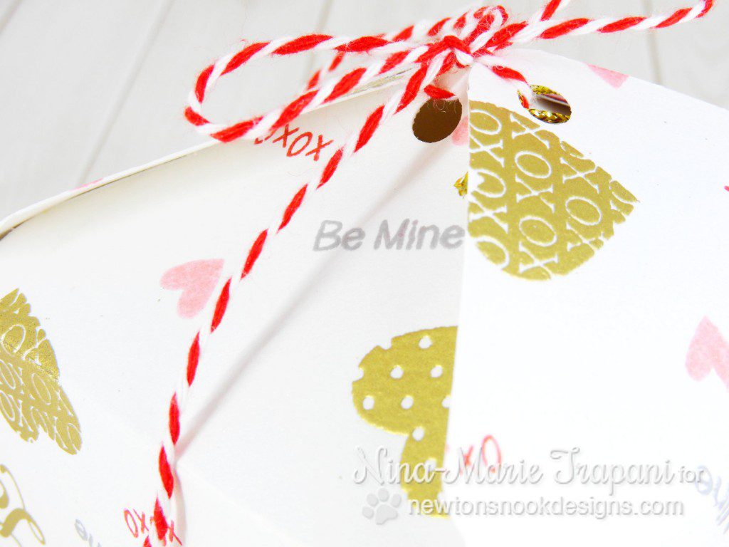 String Tie Treat Box_4